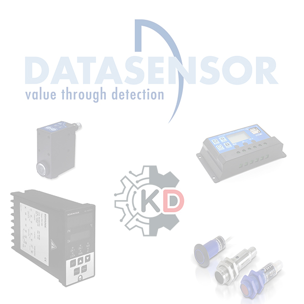Datasensor ICM20948